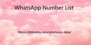 WhatsApp Number List