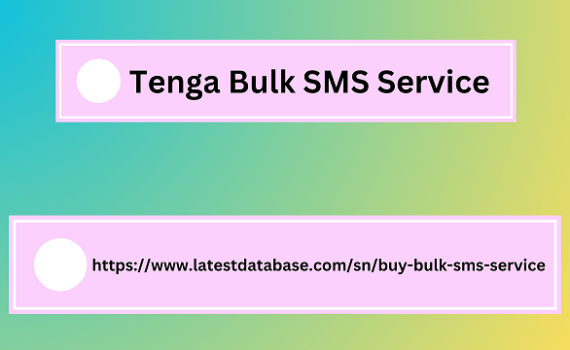 Tenga Bulk SMS Service