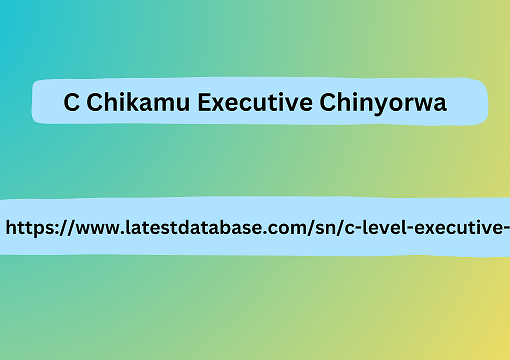 C Chikamu Executive Chinyorwa