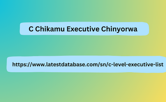 C Chikamu Executive Chinyorwa