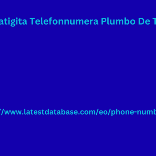 2024 Ĝisdatigita Telefonnumera Plumbo De Tutmonde