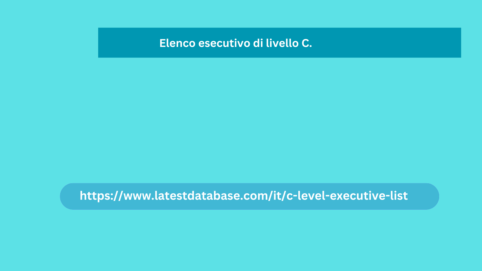 Elenco esecutivo di livello C.