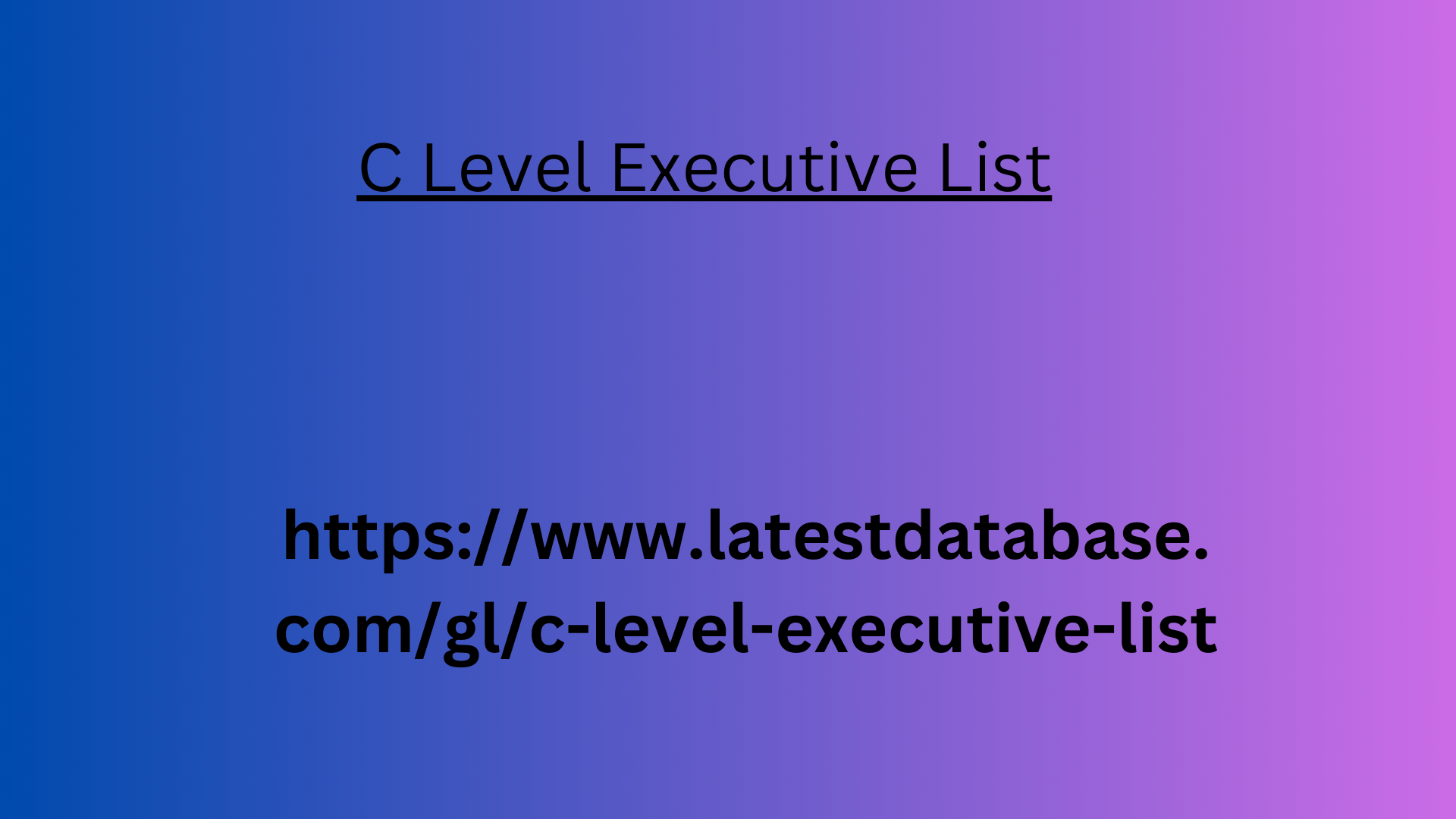 C Level Executive List