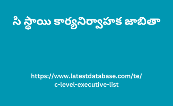 సి స్థాయి కార్యనిర్వాహక జాబితా