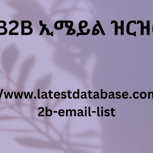 B2B ኢሜይል ዝርዝር