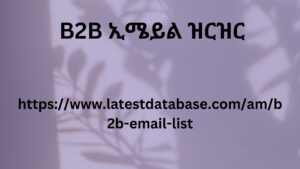 B2B ኢሜይል ዝርዝር 